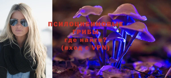 прущий лед Алексин