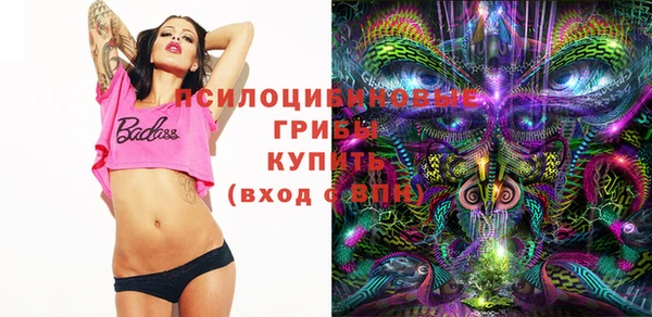 стаф Алзамай