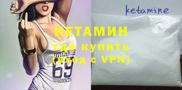 стаф Алзамай