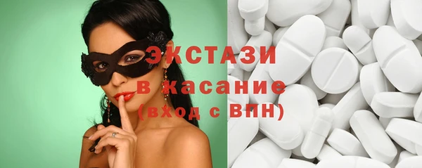 стаф Алзамай