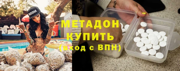 стаф Алзамай