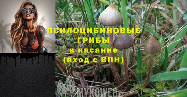 прущий лед Алексин