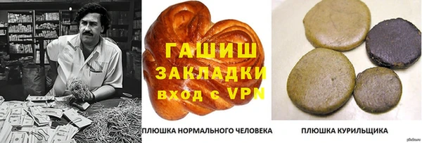 стаф Алзамай