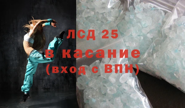 стаф Алзамай
