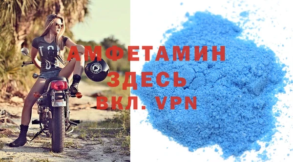 стаф Алзамай