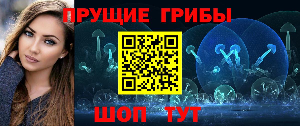 Боровичи  Псилоцибиновые грибы Psilocybine cubensis  Вход с VPN 